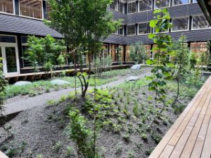 /.imaging/stk/safe/small/dam/projekte/brain4sustain/brain4sustain_buerogebaeude_baselink_hortus_allschwil_2/jcr:content/brain4sustain_Bu%E2%95%A0%C3%AAro-Geba%E2%95%A0%C3%AAude%20BaseLink%20Hortus_Allschwil%202.2025-06-19-12-41-04.jpeg
